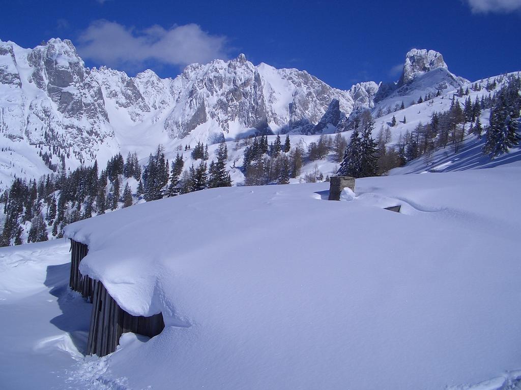Hausmenneweger Apartment Annaberg im Lammertal Cameră foto