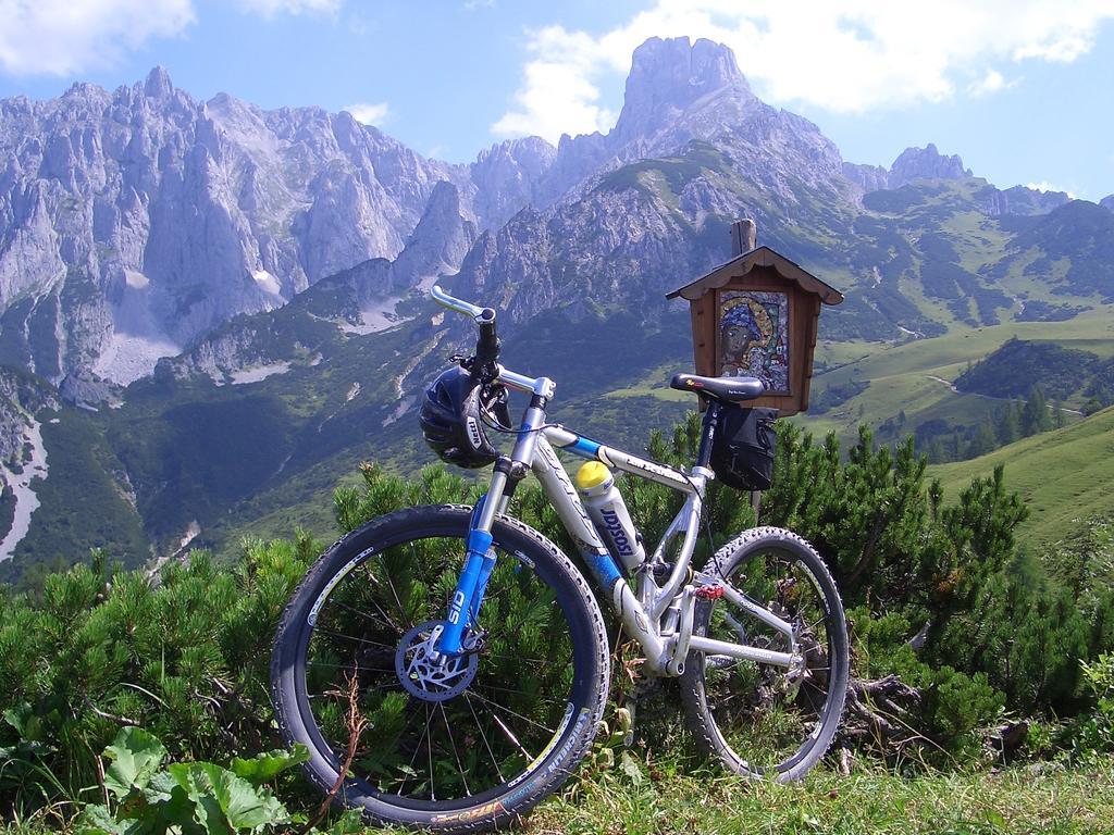 Hausmenneweger Apartment Annaberg im Lammertal Cameră foto